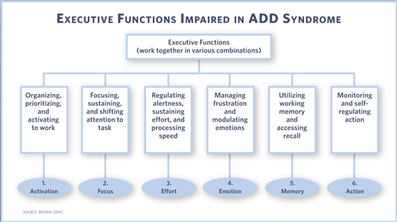 ADHD and Executive Function Difficulties | EEGYM – A Service of Thomas ...